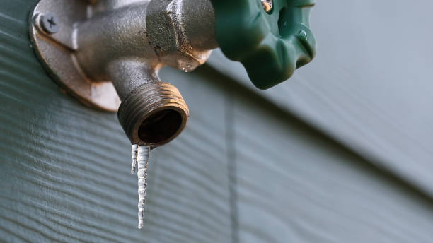 Best Sewer Line Repair  in Rural Hall, NC